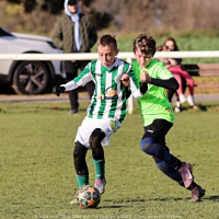 sh13-krocehlavy (35).jpg sh13-krocehlavy (35).jpg