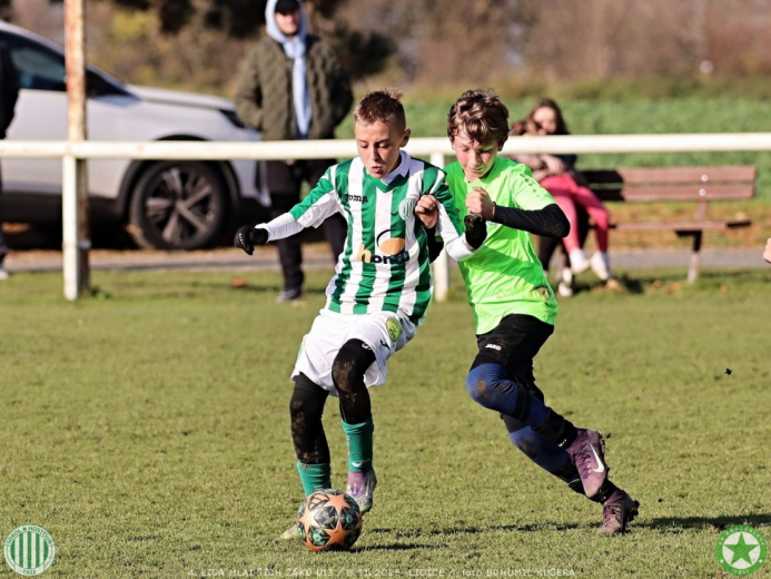 sh13-krocehlavy (35).jpg