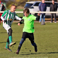 sh13-krocehlavy (37).jpg