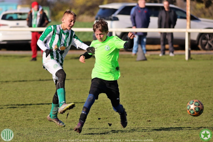 sh13-krocehlavy (37).jpg