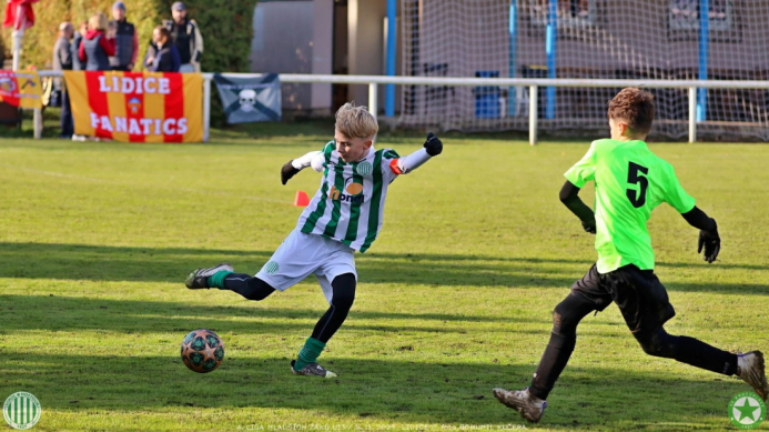 sh13-krocehlavy (33).jpg