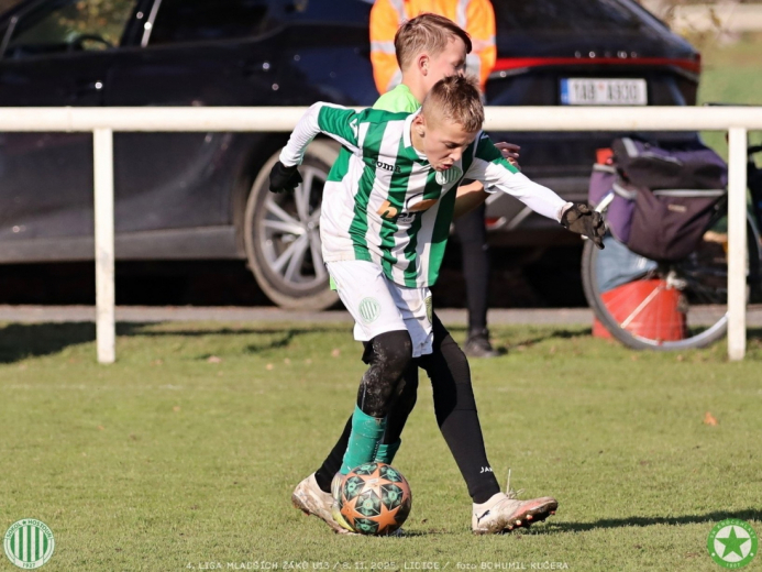 sh13-krocehlavy (39).jpg