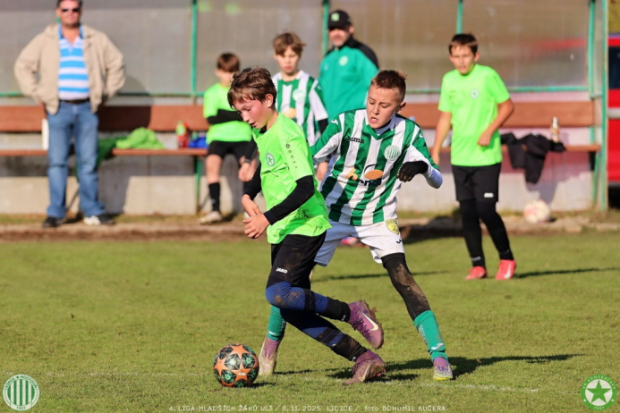 sh13-krocehlavy (40).jpg