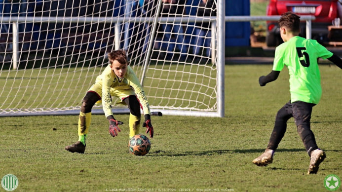 sh13-krocehlavy (43).jpg