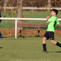 sh13-krocehlavy (42).jpg