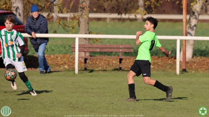 sh13-krocehlavy (42).jpg