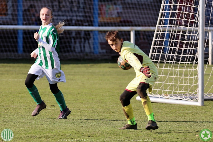 sh13-krocehlavy (44).jpg