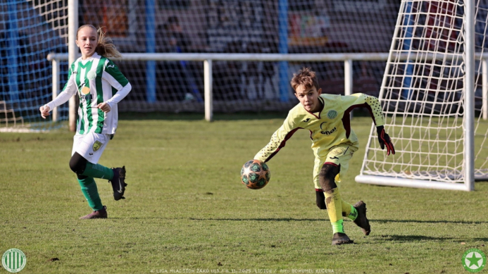 sh13-krocehlavy (45).jpg