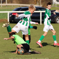 sh13-krocehlavy (46).jpg sh13-krocehlavy (46).jpg