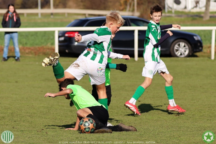 sh13-krocehlavy (46).jpg