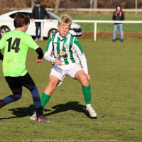 sh13-krocehlavy (49).jpg sh13-krocehlavy (49).jpg