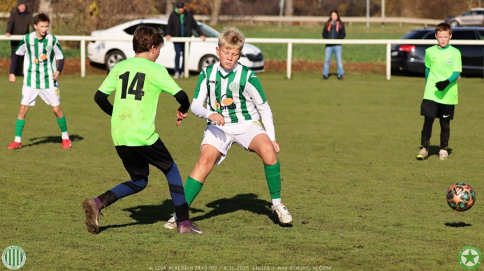 sh13-krocehlavy (49).jpg