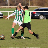 sh13-krocehlavy (48).jpg sh13-krocehlavy (48).jpg