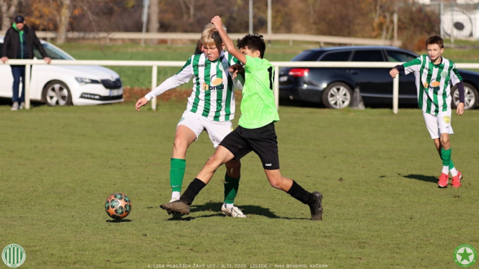 sh13-krocehlavy (48).jpg