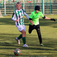 sh13-krocehlavy (50).jpg sh13-krocehlavy (50).jpg