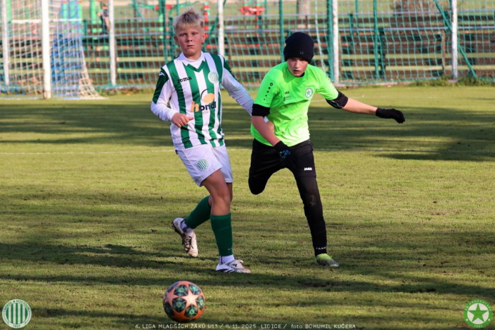 sh13-krocehlavy (50).jpg