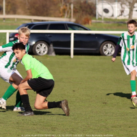 sh13-krocehlavy (47).jpg sh13-krocehlavy (47).jpg