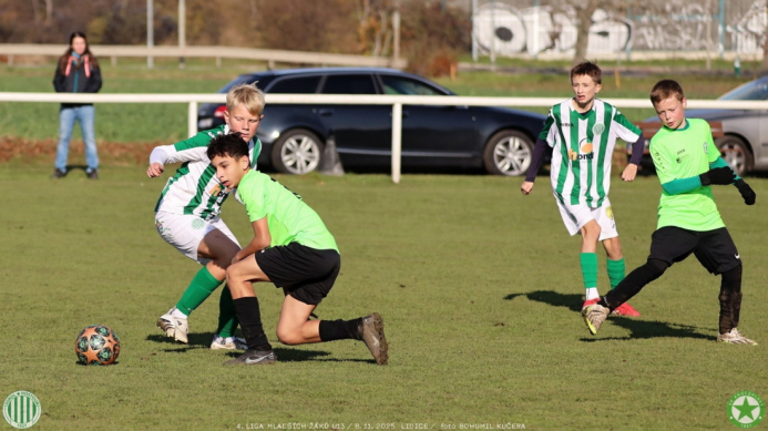 sh13-krocehlavy (47).jpg