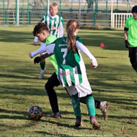 sh13-krocehlavy (51).jpg sh13-krocehlavy (51).jpg