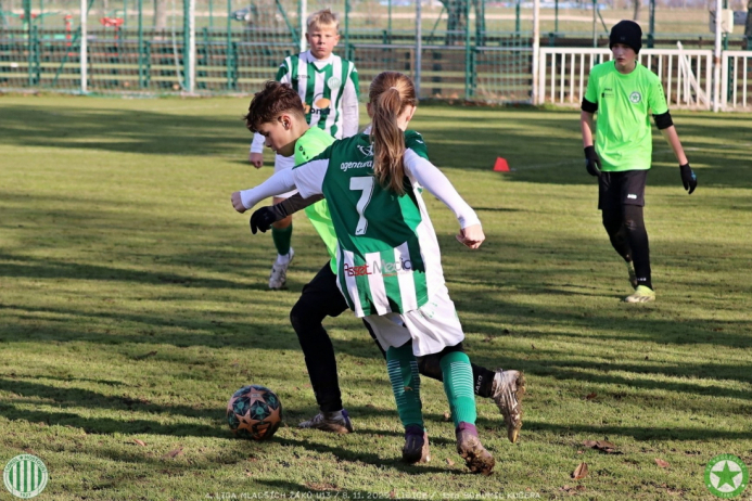 sh13-krocehlavy (51).jpg