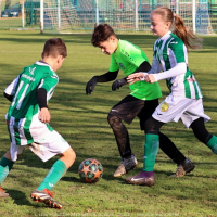 sh13-krocehlavy (52).jpg sh13-krocehlavy (52).jpg