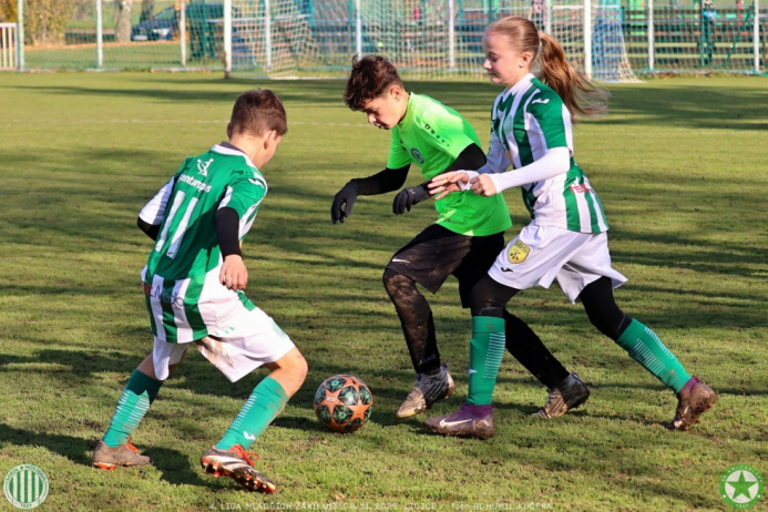 sh13-krocehlavy (52).jpg