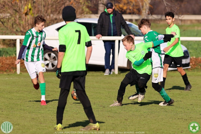 sh13-krocehlavy (53).jpg