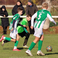 sh13-krocehlavy (54).jpg sh13-krocehlavy (54).jpg