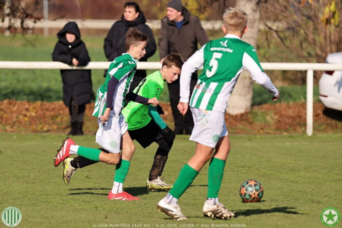 sh13-krocehlavy (54).jpg