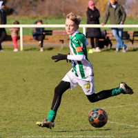 sh13-krocehlavy (56).jpg sh13-krocehlavy (56).jpg