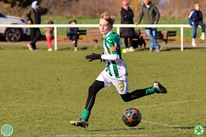 sh13-krocehlavy (56).jpg