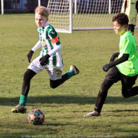 sh13-krocehlavy (57).jpg sh13-krocehlavy (57).jpg