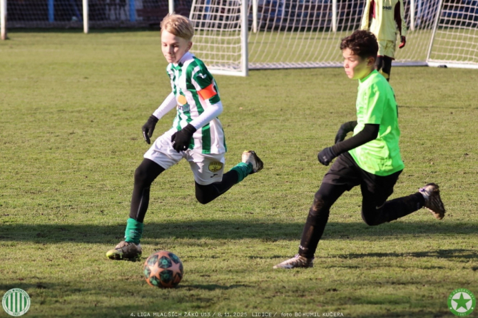 sh13-krocehlavy (57).jpg