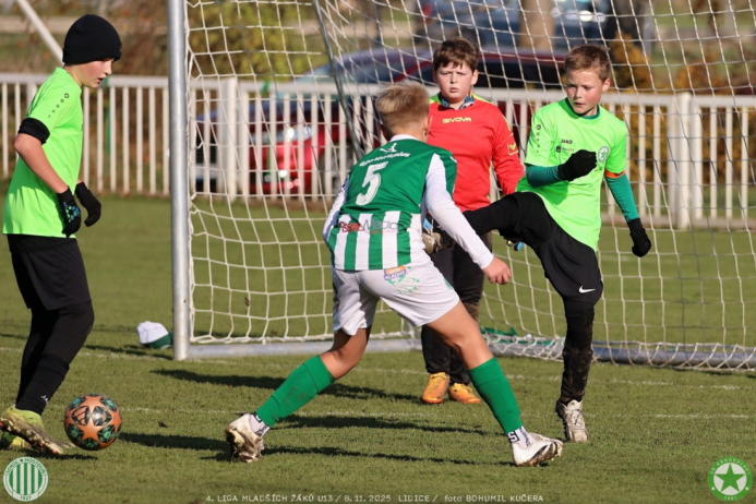 sh13-krocehlavy (55).jpg