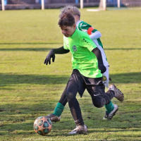 sh13-krocehlavy (58).jpg sh13-krocehlavy (58).jpg