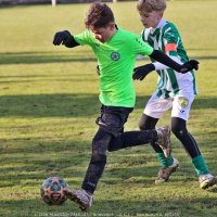 sh13-krocehlavy (59).jpg