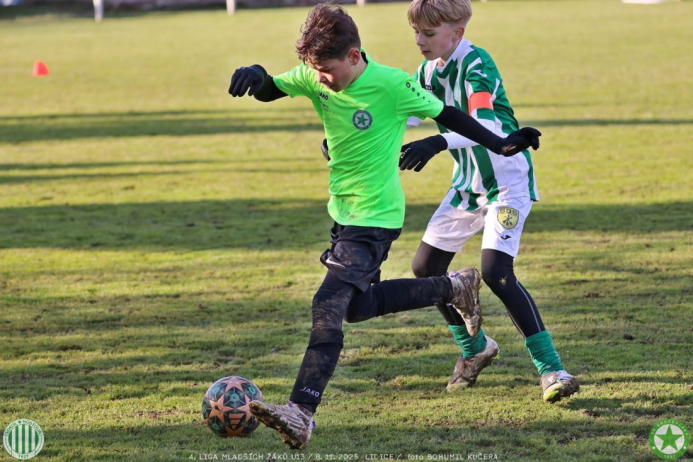 sh13-krocehlavy (59).jpg