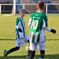 sh13-krocehlavy (61).jpg sh13-krocehlavy (61).jpg