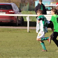 sh13-krocehlavy (63).jpg sh13-krocehlavy (63).jpg