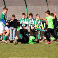 sh13-krocehlavy (62).jpg sh13-krocehlavy (62).jpg