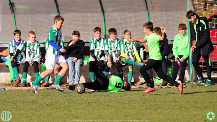 sh13-krocehlavy (62).jpg