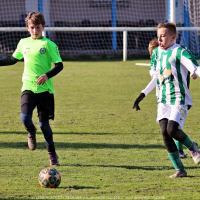 sh13-krocehlavy (64).jpg sh13-krocehlavy (64).jpg