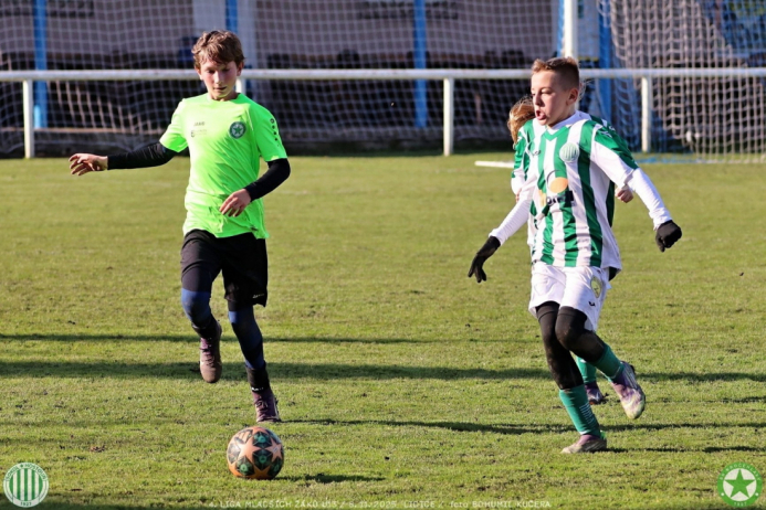 sh13-krocehlavy (64).jpg