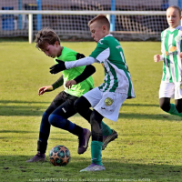 sh13-krocehlavy (65).jpg sh13-krocehlavy (65).jpg