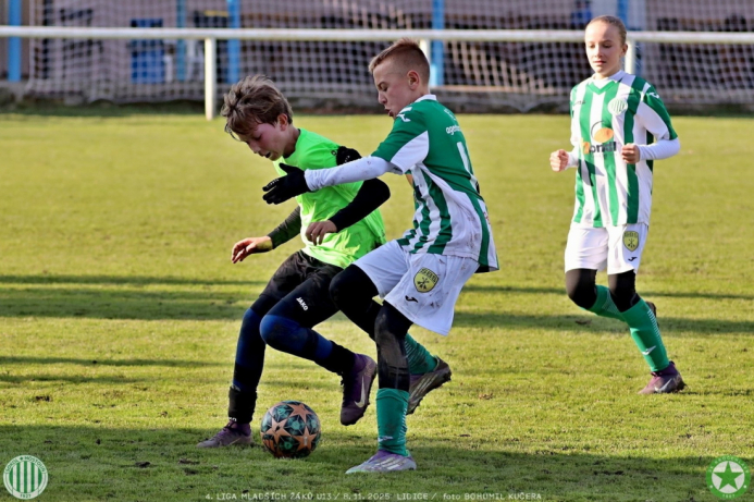 sh13-krocehlavy (65).jpg