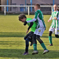 sh13-krocehlavy (66).jpg sh13-krocehlavy (66).jpg