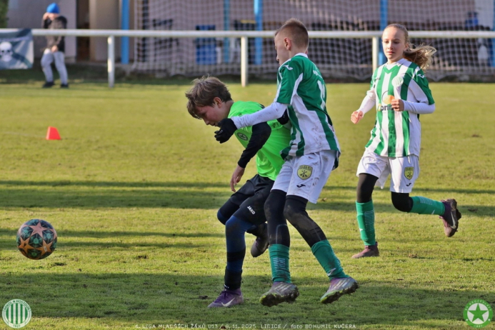 sh13-krocehlavy (66).jpg