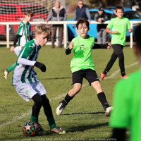 sh13-krocehlavy (68).jpg sh13-krocehlavy (68).jpg