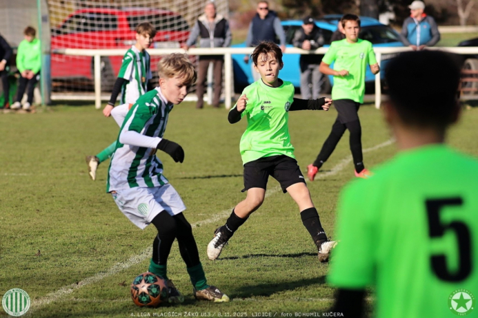 sh13-krocehlavy (68).jpg