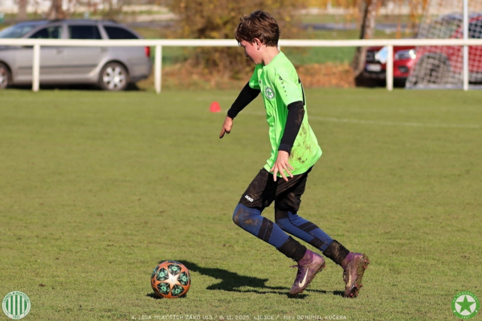 sh13-krocehlavy (69).jpg